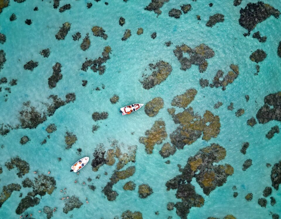 Descubra os aplicativos que facilitam a viagem para RN Descubra os aplicativos que facilitam a viagem para RN