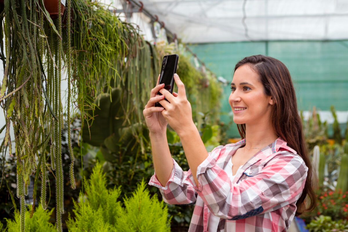 5 Garten-Apps zur Planung der Winterpflege 5 Garten-Apps zur Planung der Winterpflege