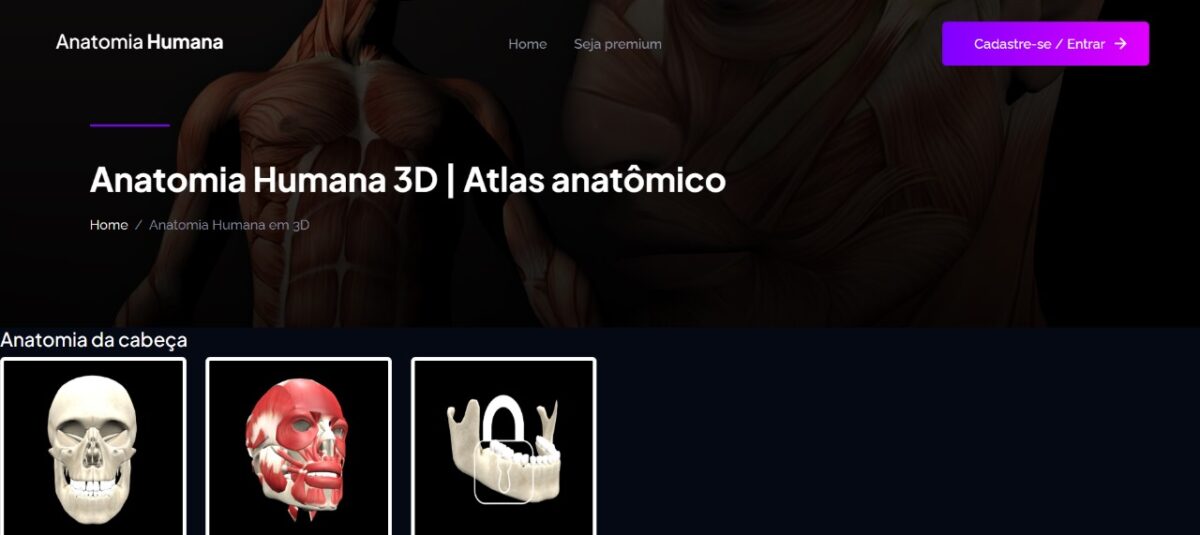 5 plataformas que simulam o corpo humano em alta precisão Reprodução do site Anatomia Humana Online, um dos mais completos sobre ensino anatômico.
