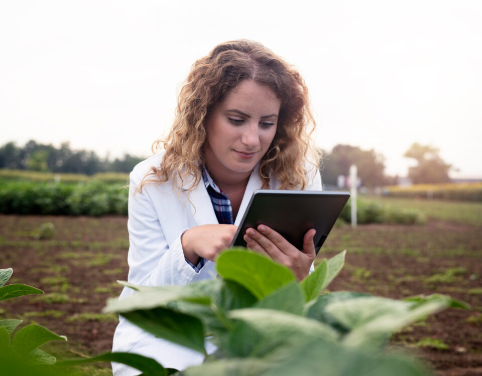Softwares agrícolas: apps e plataformas para gestão de dívidas rurais e produtividade Softwares agrícolas: apps e plataformas para gestão de dívidas rurais e produtividade