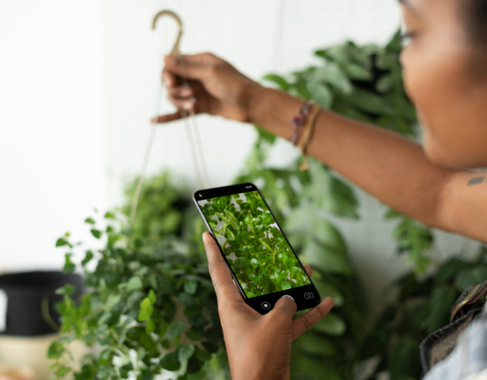 Apps que otimizam ciclos: VPD, timers e diário de plantas Apps que otimizam ciclos: VPD, timers e diário de plantas