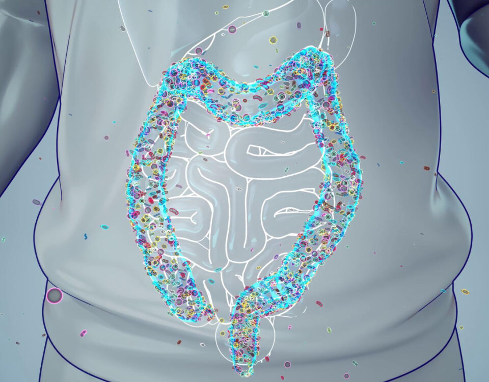 Quando procurar um médico do aparelho digestivo